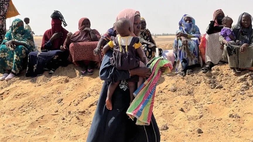 Sudan's envoy to Türkiye says El Fasher civilians face severe food shortages