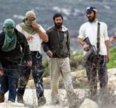 Settlers Attack Homes in Ras al-Ain Area of Qusra, South of Nablus