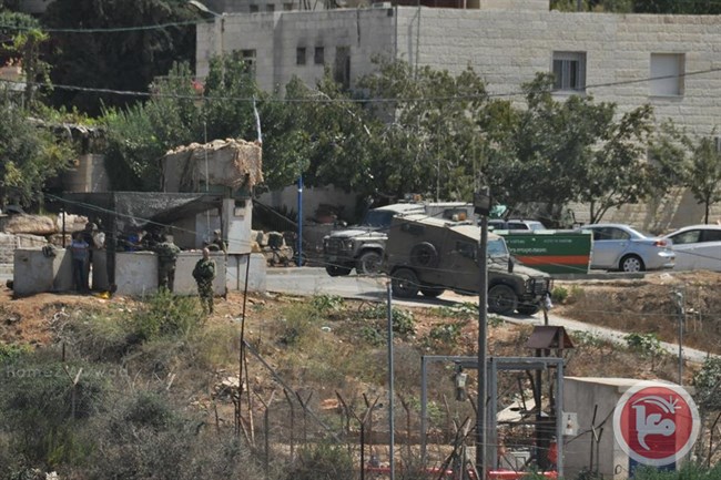 Israeli Forces Detain Palestinian Youth Momen Afaneh in Ramallah