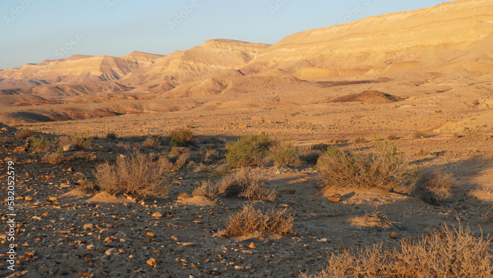 Air Raid Sirens Sound in Negev Region of Occupied Palestine