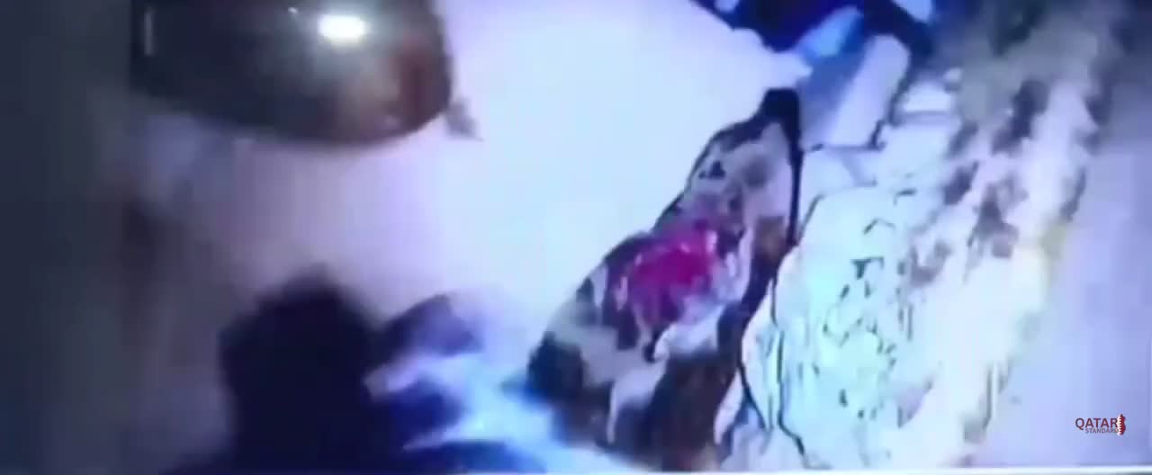Israeli police dog attacks elderly woman in Gaza